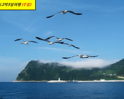 [주말] 울릉도2박3일 ※ 신분증필히지참